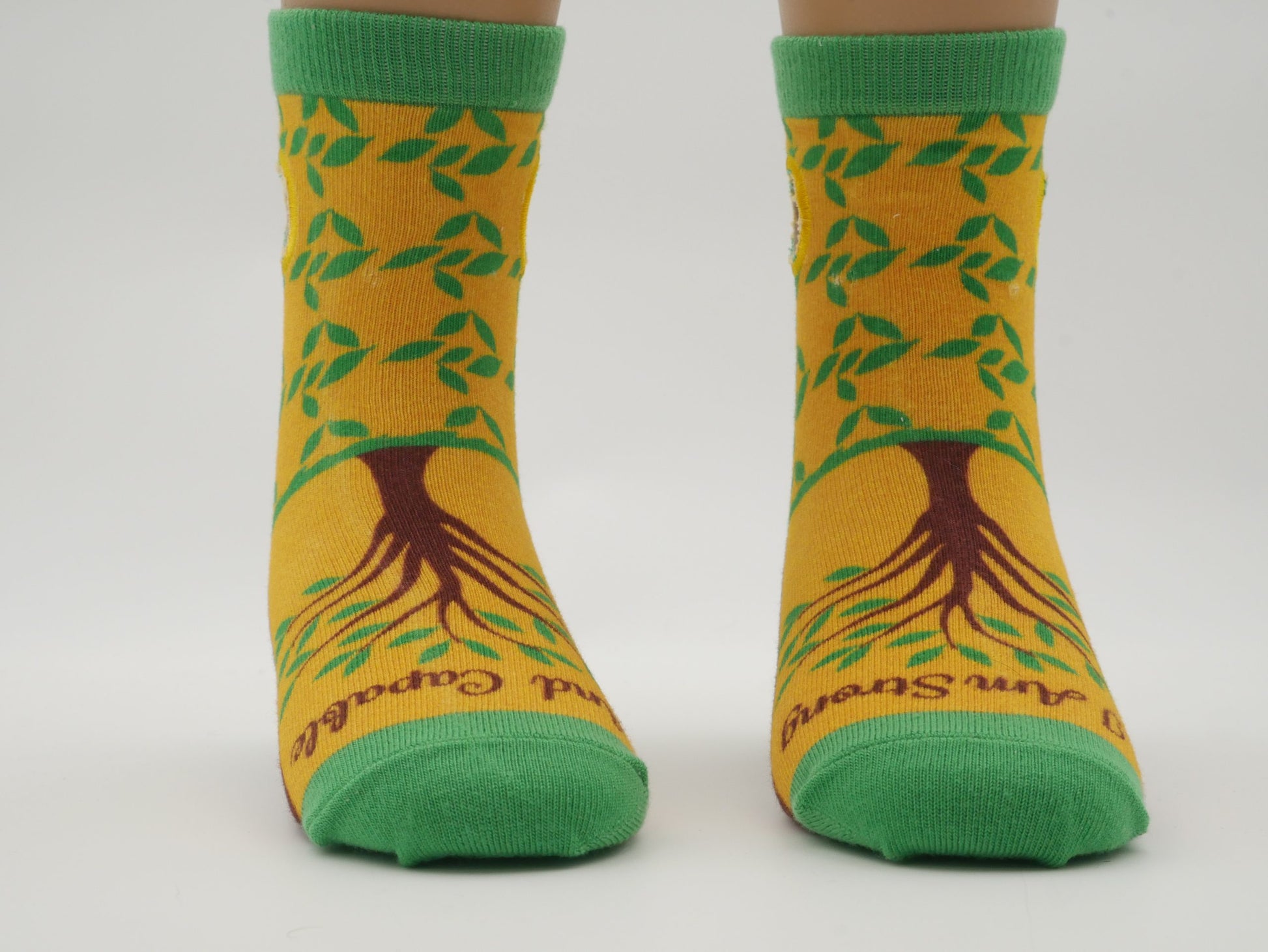 Donate SockieTalkies to Shriners Hospital - I Am Strong and Capable image